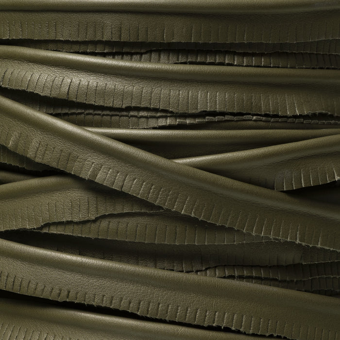 Holly Hunt Great Plains Trim On The Edge Dark Palm Trim Sample 001/39
