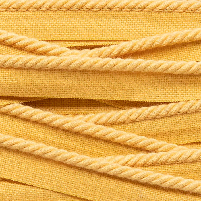 Holly Hunt Great Plains Trim Anchor Line Dijon Trim Sample 025/20