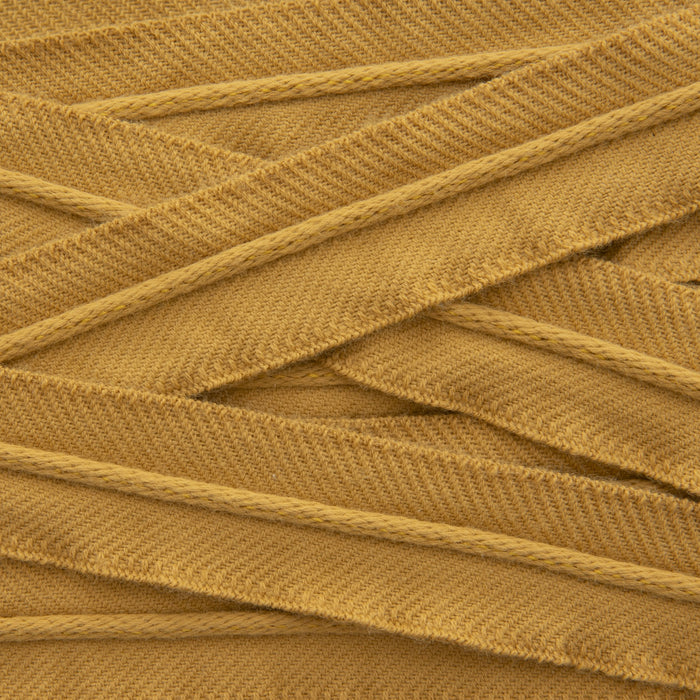 Holly Hunt Great Plains Straight And Narrow Golden Ray Trim Sample 096/12