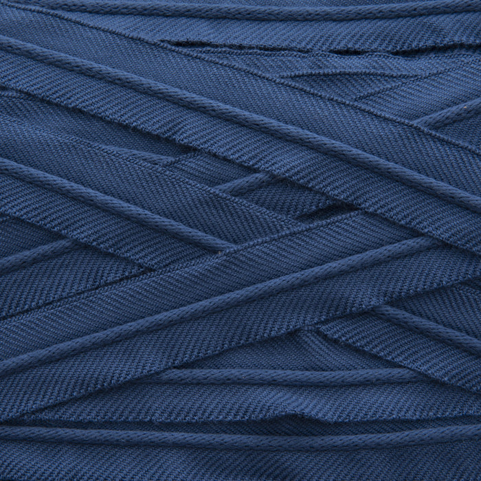 Holly Hunt Great Plains Straight And Narrow Beta Blue Trim Sample 096/15