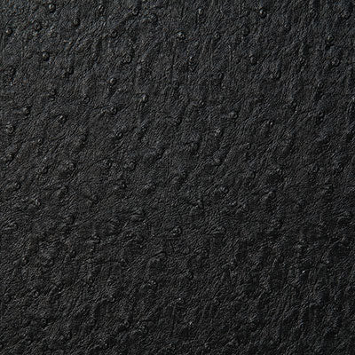 Pindler Micah Black Fabric 1008