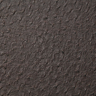 Pindler Micah Cocoa Fabric 1008