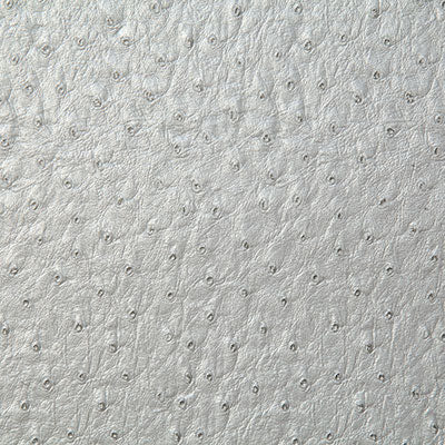Pindler Micah Platinum Fabric 1008