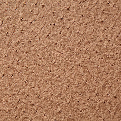 Pindler Micah Tan Fabric 1008