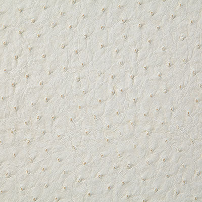 Pindler Micah White Fabric 1008