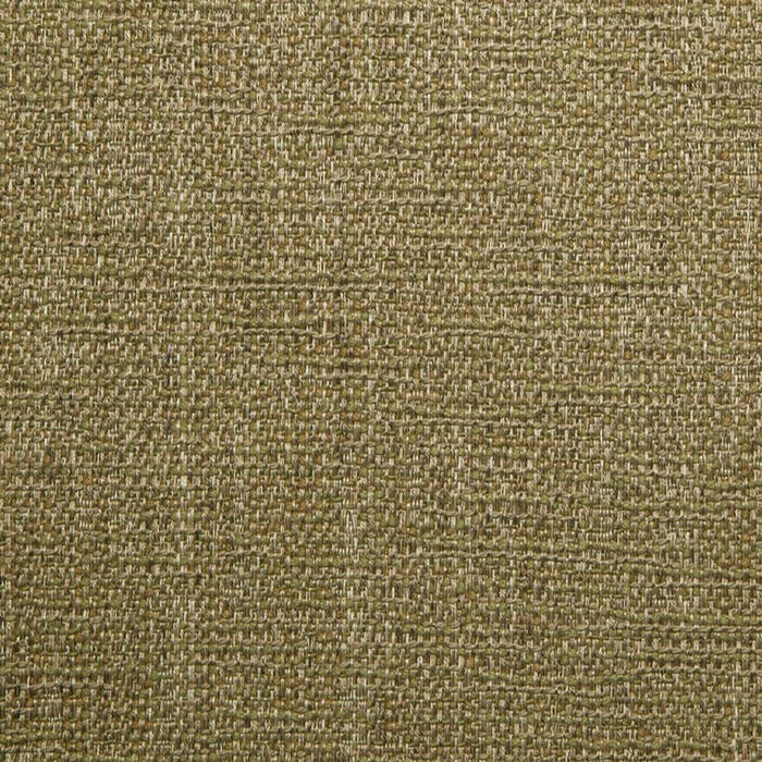 Calvin Belize (ls) Tree Frog Fabric Sample 10786