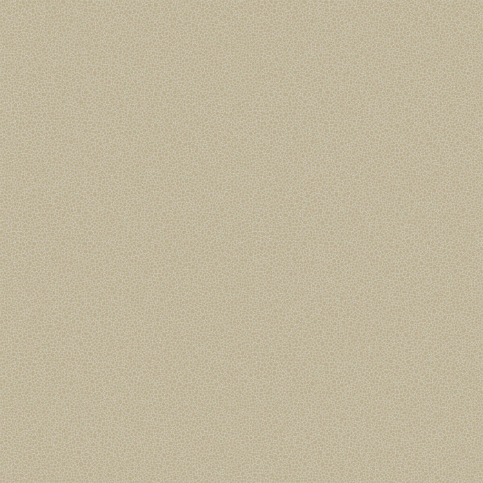Cole & Son Goldstone Stone & Gilver Wallpaper Sample 107/9042.CS.0