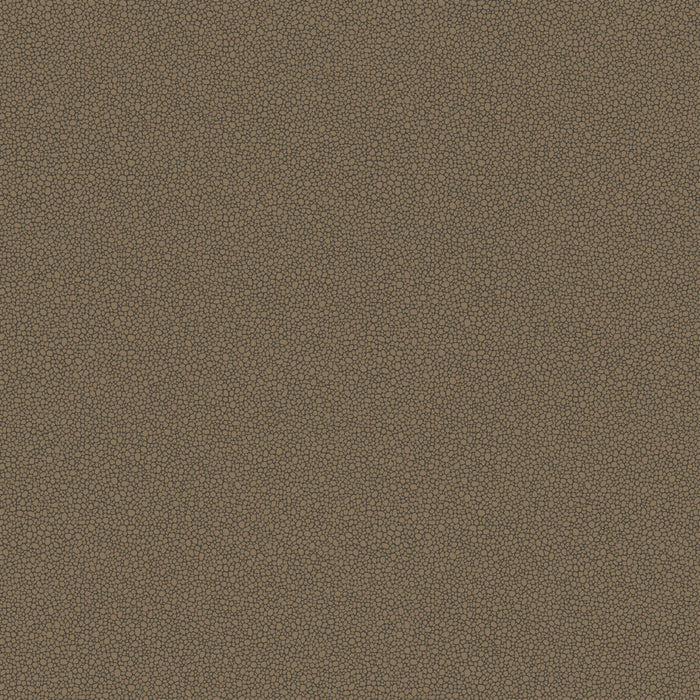 Cole & Son Goldstone Black & Bronze Wallpaper Sample 107/9044.CS.0