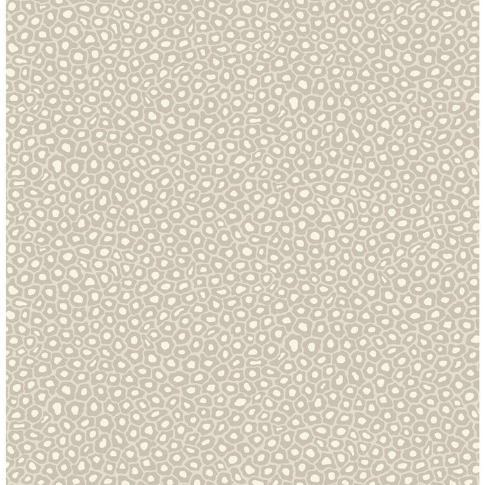 Cole & Son Senzo Spot Stone & White Wallpaper Sample 109/6030.CS.0