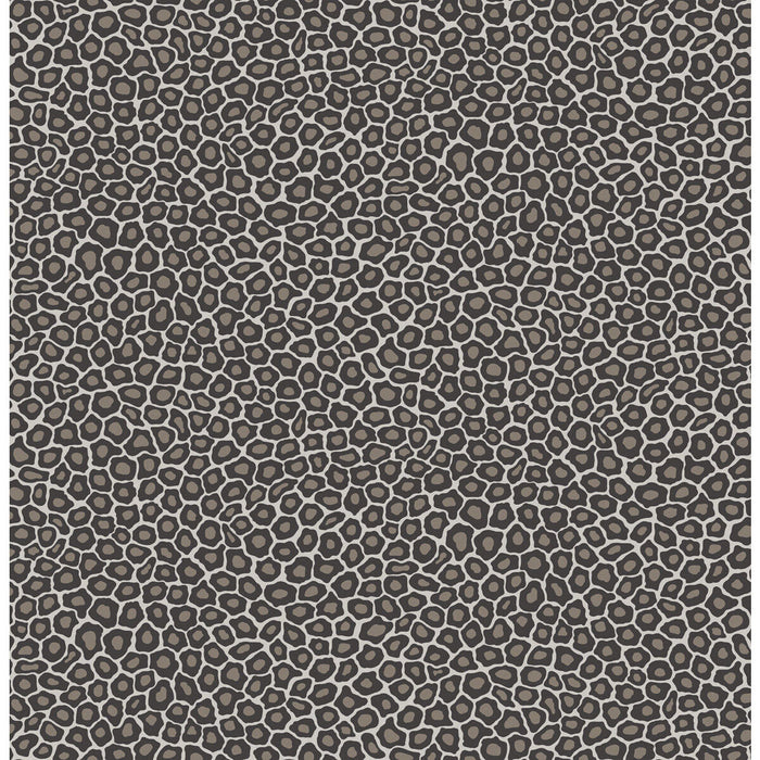 Cole & Son Senzo Spot Black & White Wallpaper Sample 109/6031.CS.0