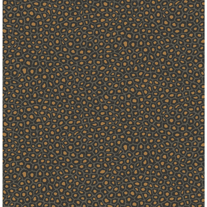 Cole & Son Senzo Spot Charcoal Wallpaper Sample 109/6032.CS.0