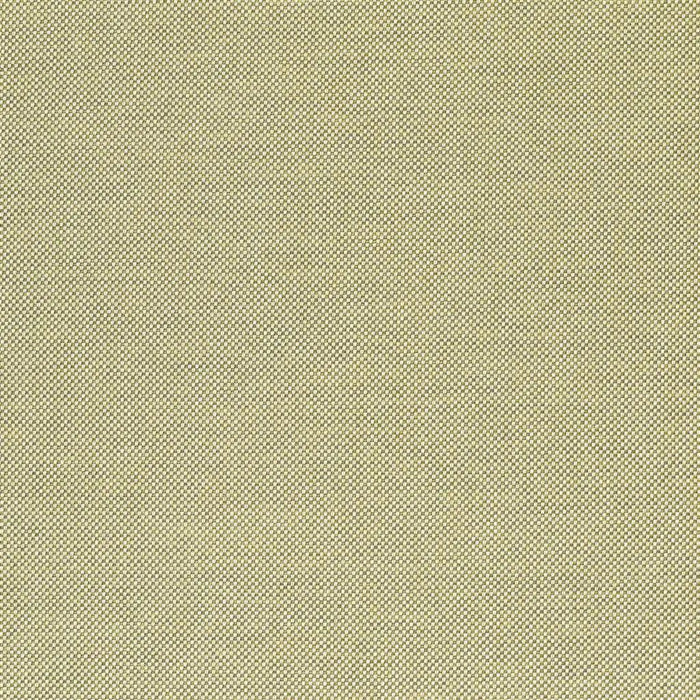 Designers Guild Boyton Outdoor 1 Sample Sample FDG2869-01