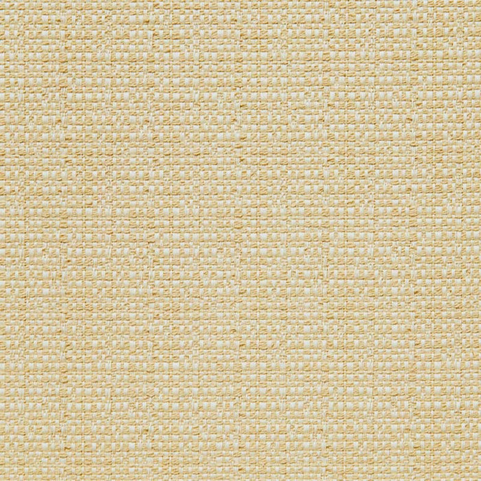 Calvin Kapa (ls) Sand Fabric 11478