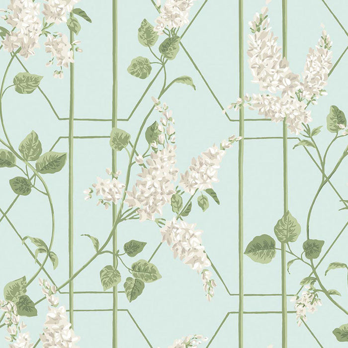 Cole & Son Wisteria Stone/Olive/D Egg Wallpaper Sample 115/5014.CS.0