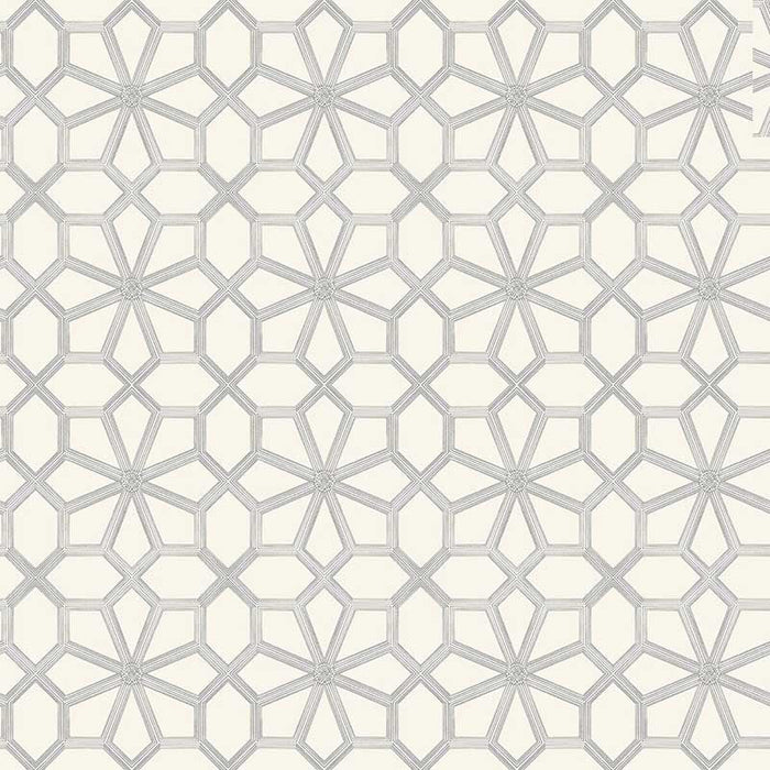 Cole & Son Wolsey Stars Soot On Snow Wallpaper Sample 118/16036.CS.0