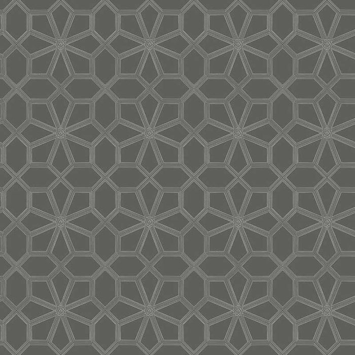 Cole & Son Wolsey Stars Chalk/Charcl Wallpaper Sample 118/16037.CS.0