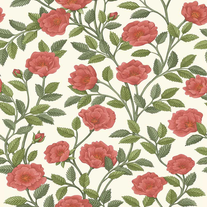 Cole & Son Hampton Roses R&Sgrn/Pmnt Wallpaper Sample 118/7013.CS.0