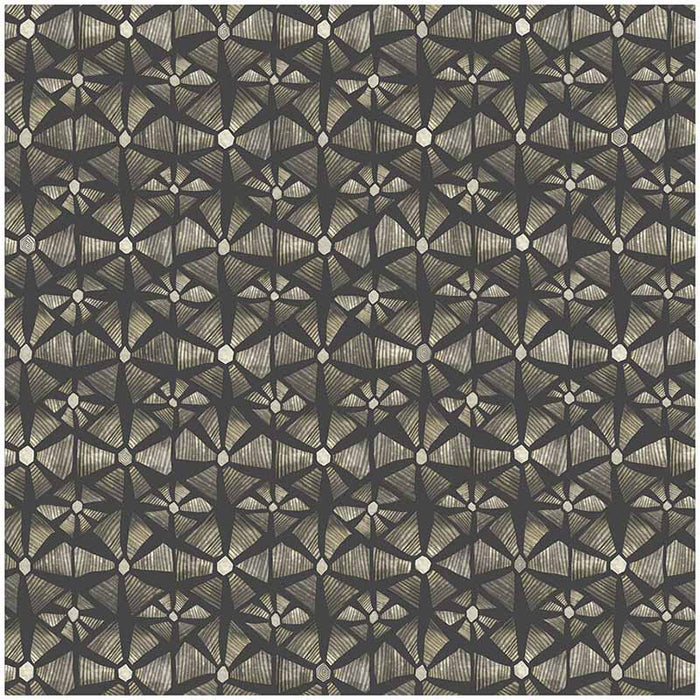 Cole & Son Kalahari Stone & Charcoal Wallpaper Sample 119/6029.CS.0
