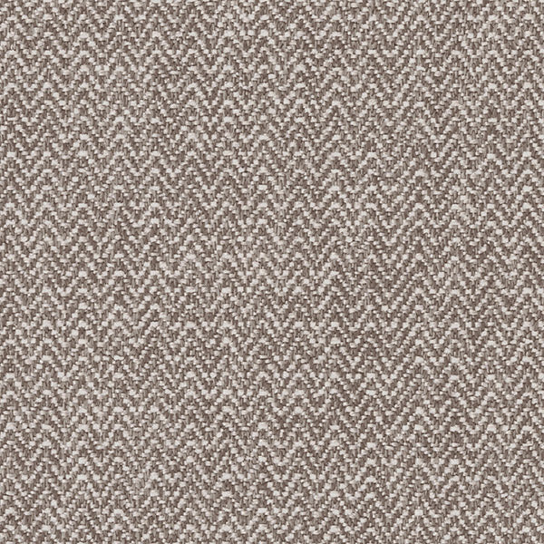 Brentano Himalaya Silverfox Fabric Sample 1228-02