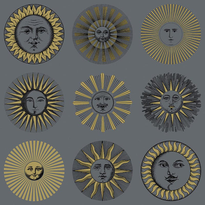 Cole & Son Soli Midnight & Soft Gold Wallpaper 123/1004.CS.0