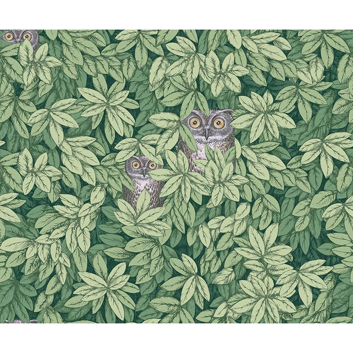 Cole & Son Foglie E Civette Green Wallpaper 123/11054.CS.0