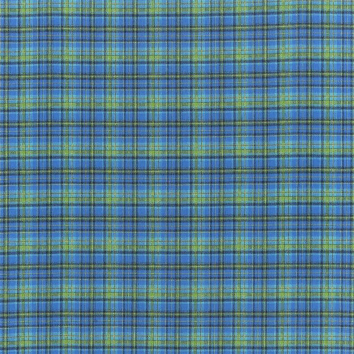 Designers Guild Abernethy 1 Sample Sample FDG3036-01