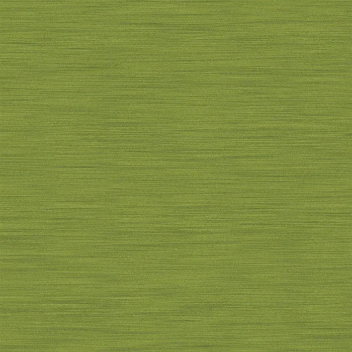 Designers Guild Pampas 66 Sample Sample FDG2163-66