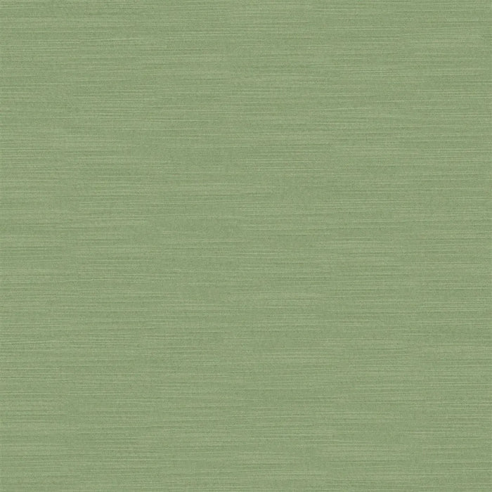 Designers Guild Pampas 68 Sample Sample FDG2163-68