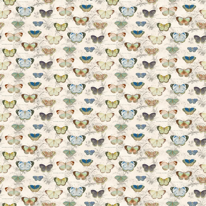 John Derian Butterfly Studies 1 Fabric FJD6050-01