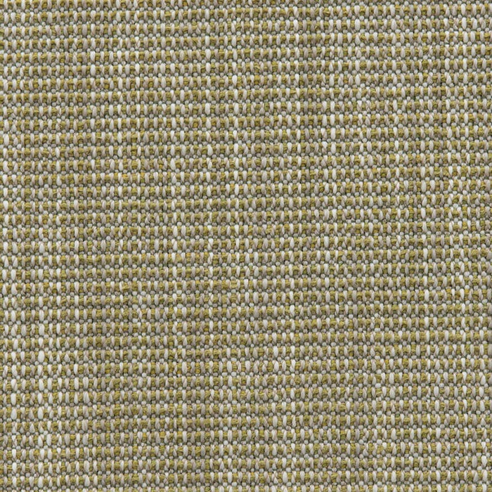 Holly Hunt Great Outdoors Comes and Goes Clover Fabric 167/05