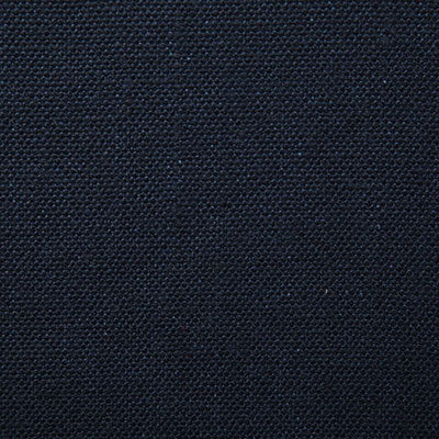Pindler Westley Ink Fabric 1672