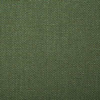 Pindler Westley Palm Fabric 1672