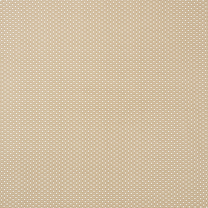 Schumacher Queen B II Indoor/Outdoor Sand Fabric Sample 176561