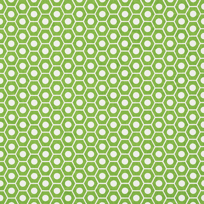 Schumacher Queen B Green Fabric 177075