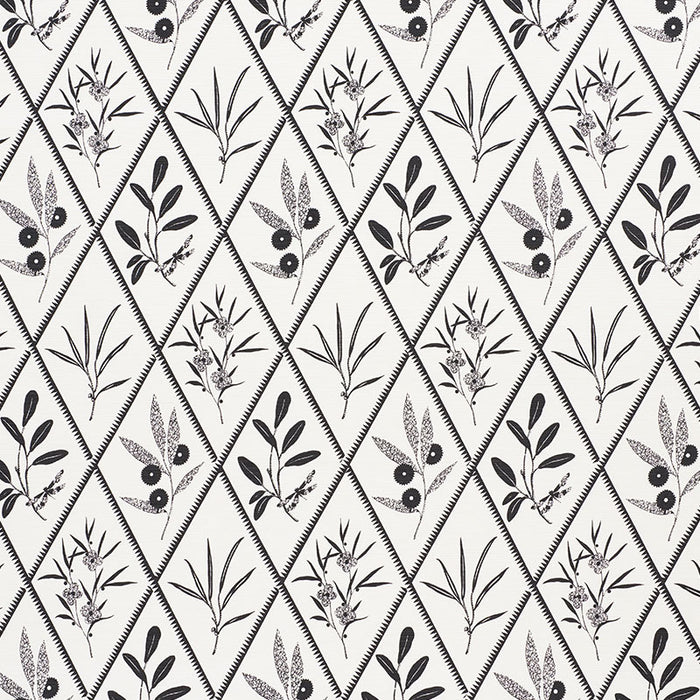Schumacher Endimione Carbon Fabric 177643