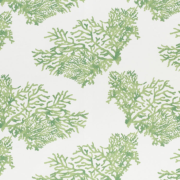 Schumacher Great Barrier Reef II Green Fabric Sample 178291