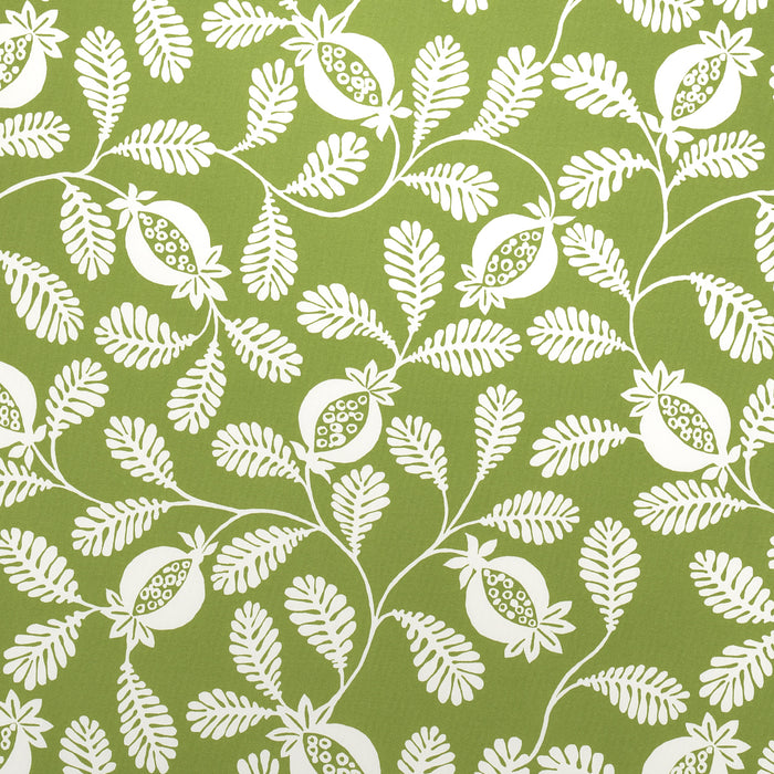 Schumacher Lanzadera Vine Indoor/Outdoor Honeydew Fabric 180991