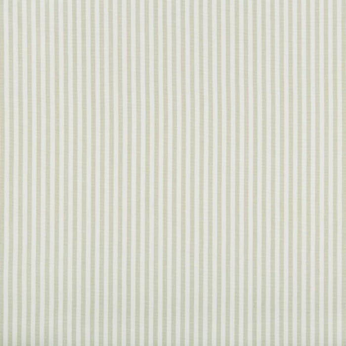 Lee Jofa Cap Ferrat Stripe Leaf Fabric Sample 2018146.123.0