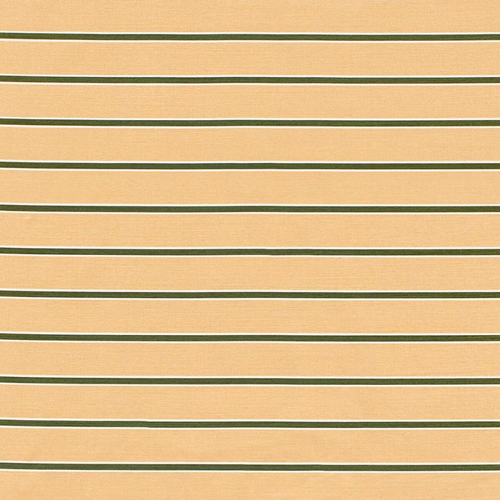 Lee Jofa Horizon Stripe Dkgreenblush Fabric 2024105.73.0