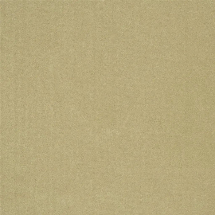 Designers Guild Cassia  4 Sample Sample F2034-04