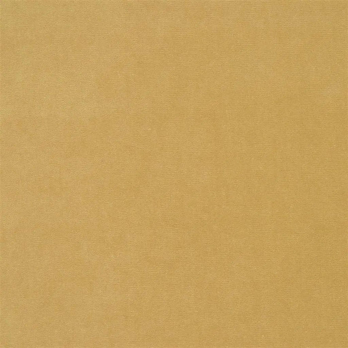 Designers Guild Cassia  37 Sample Sample F2034-37