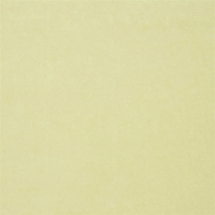 Designers Guild Cassia  38 Sample Sample F2034-38