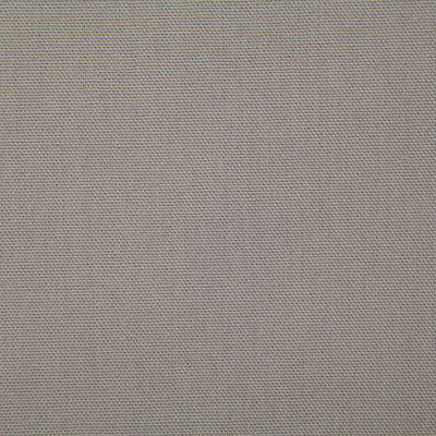 Pindler Callahan Cement Fabric 2381
