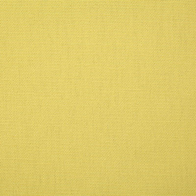 Pindler Callahan Citron Fabric 2381