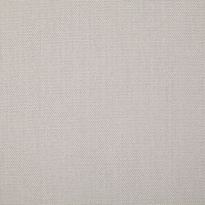 Pindler Callahan Cloud Fabric 2381