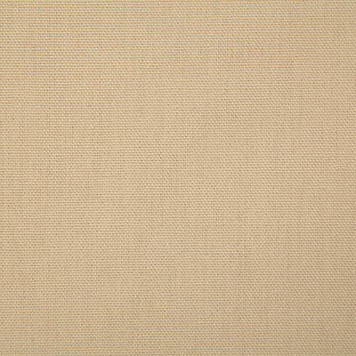 Pindler Callahan Dune Fabric 2381