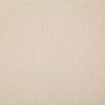 Pindler Callahan Ecru Fabric 2381