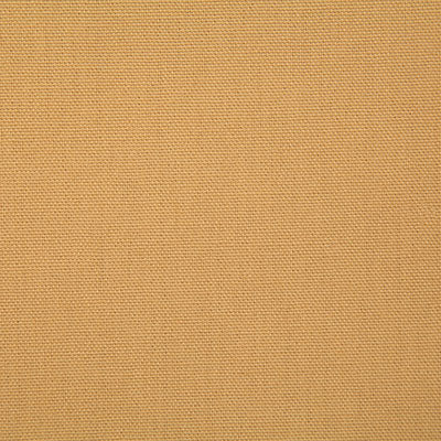 Pindler Callahan Gold Fabric 2381