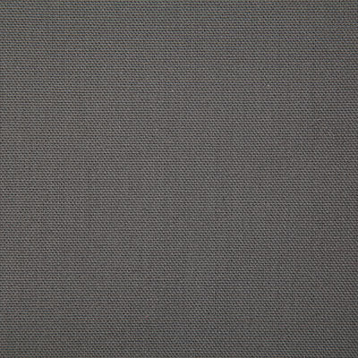 Pindler Callahan Graphite Fabric 2381