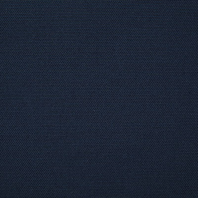 Pindler Callahan Indigo Fabric 2381